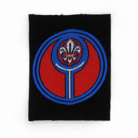 Ensenya Rovers Animació